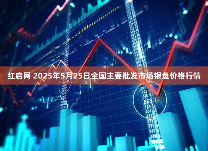 红启网 2025年5月25日全国主要批发市场银鱼价格行情