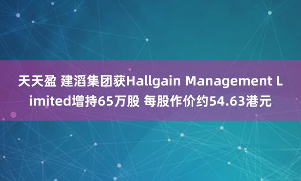 天天盈 建滔集团获Hallgain Management Limited增持65万股 每股作价约54.63港元